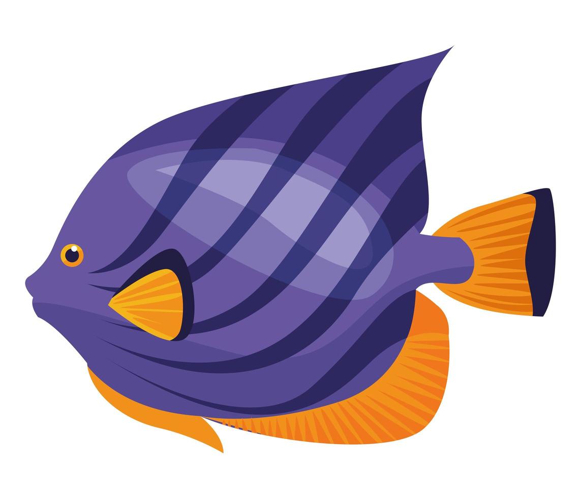 poisson chirurgien violet vecteur