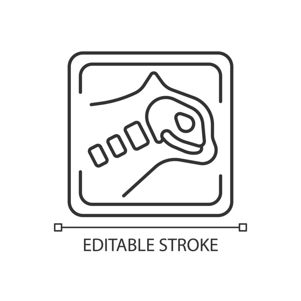 icône linéaire de rayons X pour animaux de compagnie. radiographie diagnostique. analyse tomographique. examen du squelette d'un animal de compagnie. illustration personnalisable de fine ligne. symbole de contour. dessin de contour isolé de vecteur. trait modifiable vecteur