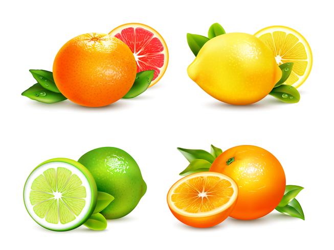 Citrus Fruits 4 Realistic Icons Set vecteur