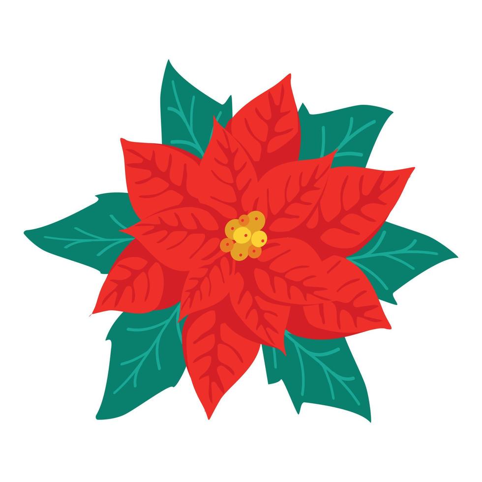 fleur de poinsettia, symbole de Noël vecteur