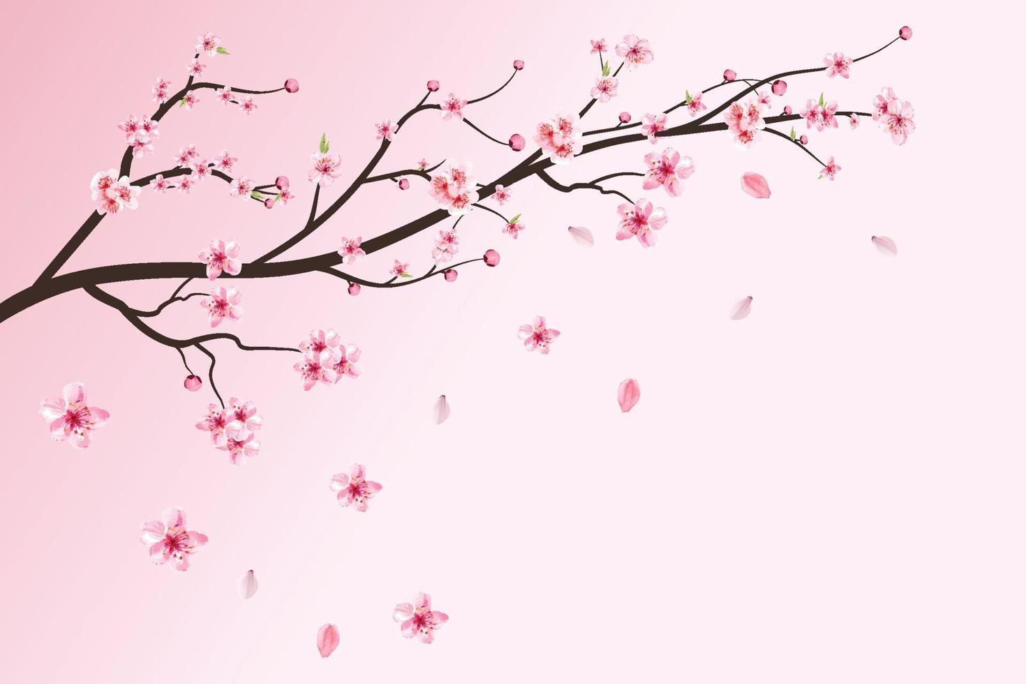 branche de fleur de cerisier réaliste. fleur de sakura rose tombant. sakura avec fleur aquarelle en fleurs. feuilles de fleurs de cerisier tombant. vecteur de fleur de cerisier japonais. vecteur de fleur de cerisier aquarelle.