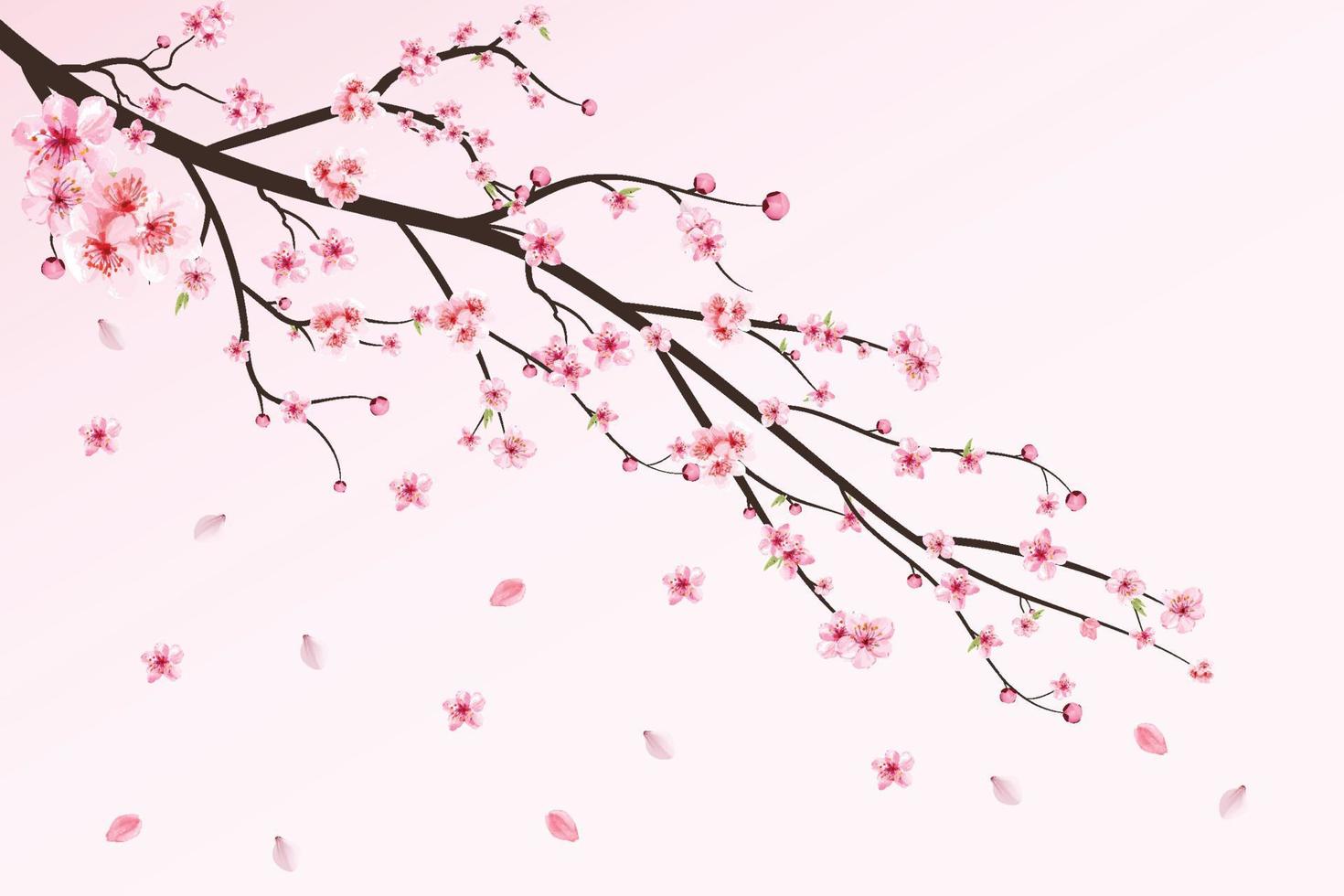 fleur de cerisier avec fleur de sakura aquarelle. feuilles de fleurs de cerisier tombant. vecteur de branche sakura réaliste. vecteur de fleur de cerisier japonais. fleur de sakura rose tombant. branche de cerisier avec sakura.