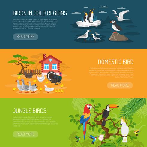 Jeu de bannières horizontales pour oiseaux vecteur