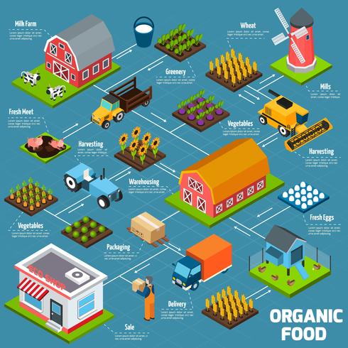 Organigramme isométrique des aliments biologiques vecteur