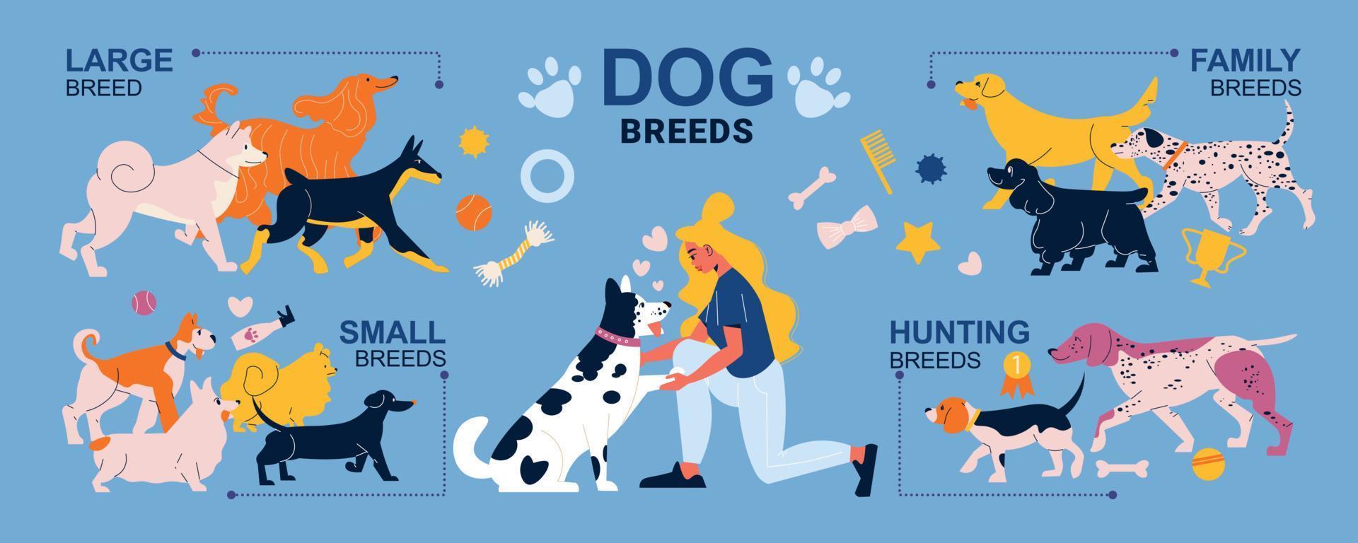 infographie des races de chiens vecteur
