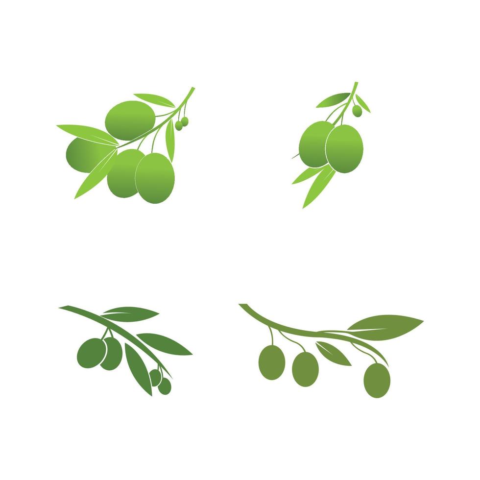 illustration vectorielle d & # 39; icône olive vecteur