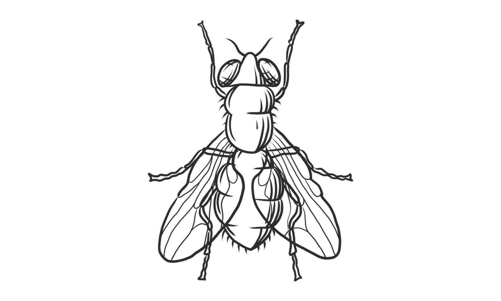 Vector lineart illustration d'abeille sur fond blanc, croquis d'insectes abeille dessinés à la main