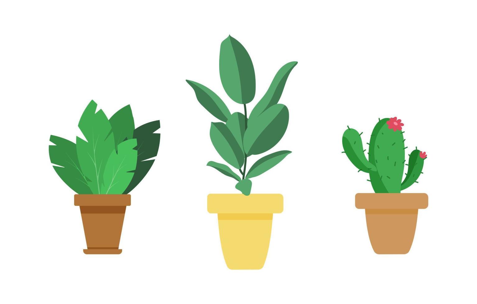 plantes d'intérieur en pots. cactus, ficus et plante succulente isolés sur fond blanc. illustration vectorielle plante à l'intérieur vecteur