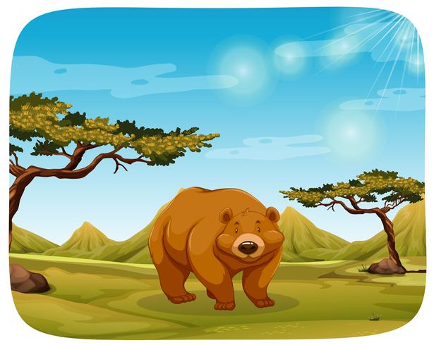 Un ours dans une scène de nature vecteur
