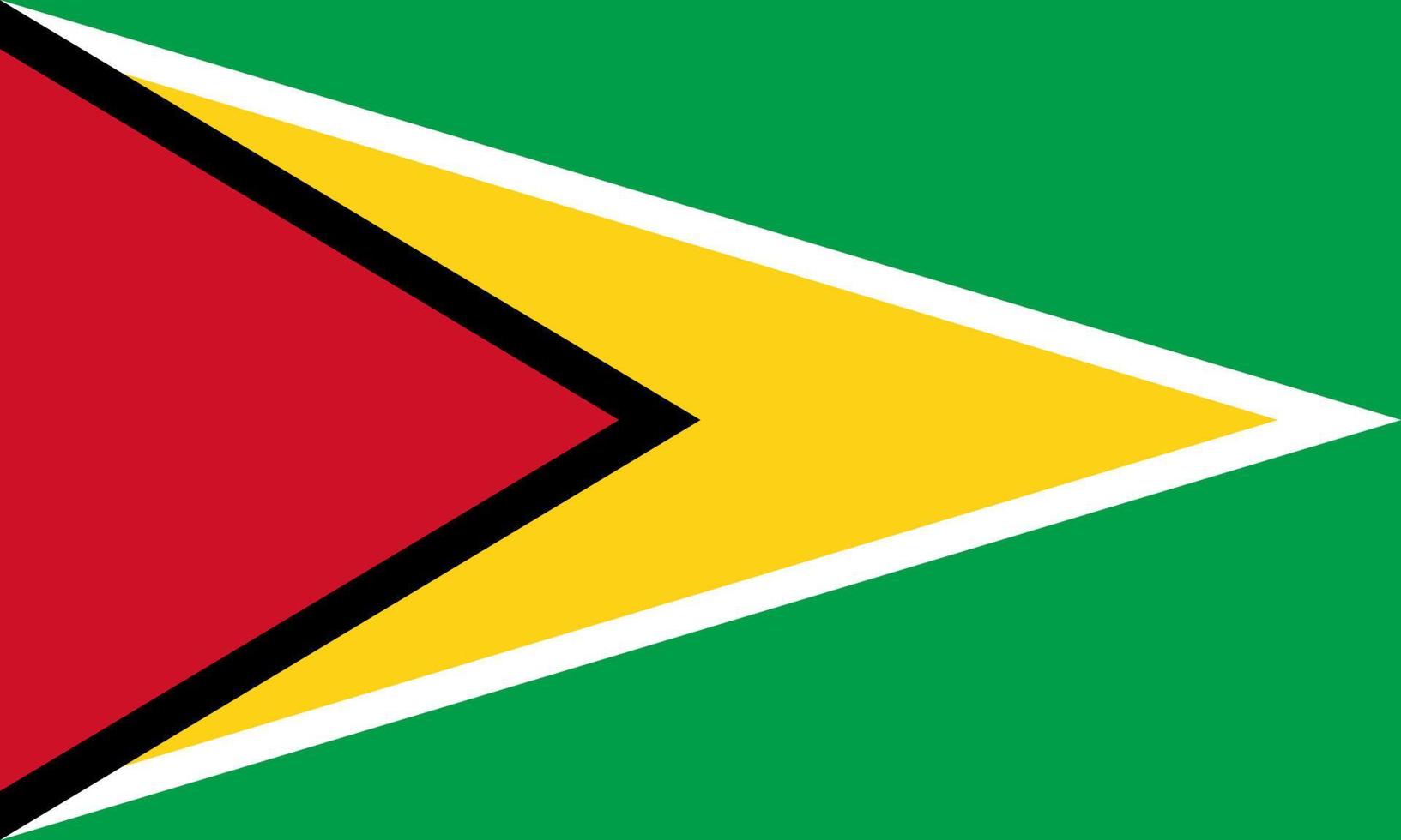 vecteur de drapeau guyana