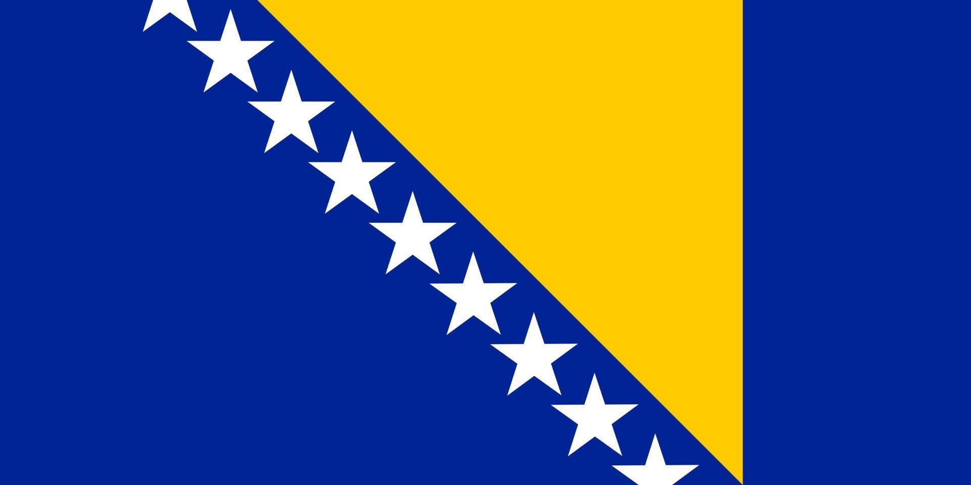 vecteur de drapeau de la bosnie-herzégovine