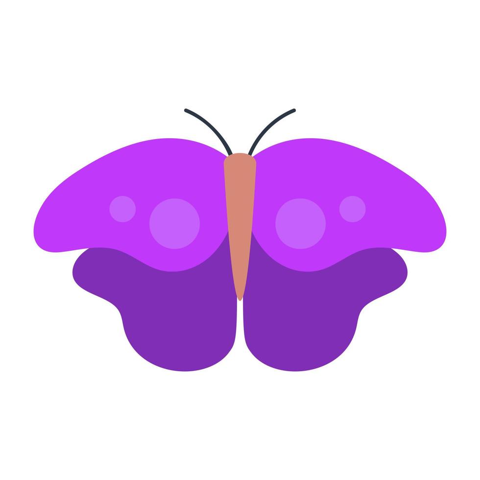 notions de papillon monarque vecteur