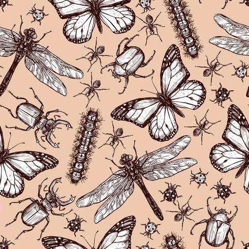 Seamless Pattern d&#39;insectes dessinés Vintage vecteur