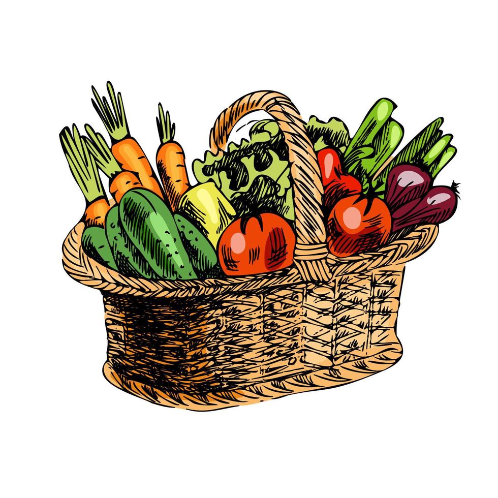 illustration vectorielle de légumes dessinés à la main. croquis détaillé de style rétro d'un panier avec des légumes. élément de croquis vintage pour la conception d'étiquettes, d'emballages et de cartes. vecteur