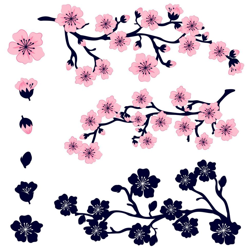 ensemble de fleurs de sakura roses. image vectorielle d'une branche d'un arbre en fleurs, de fleurs, de bourgeons et vecteur