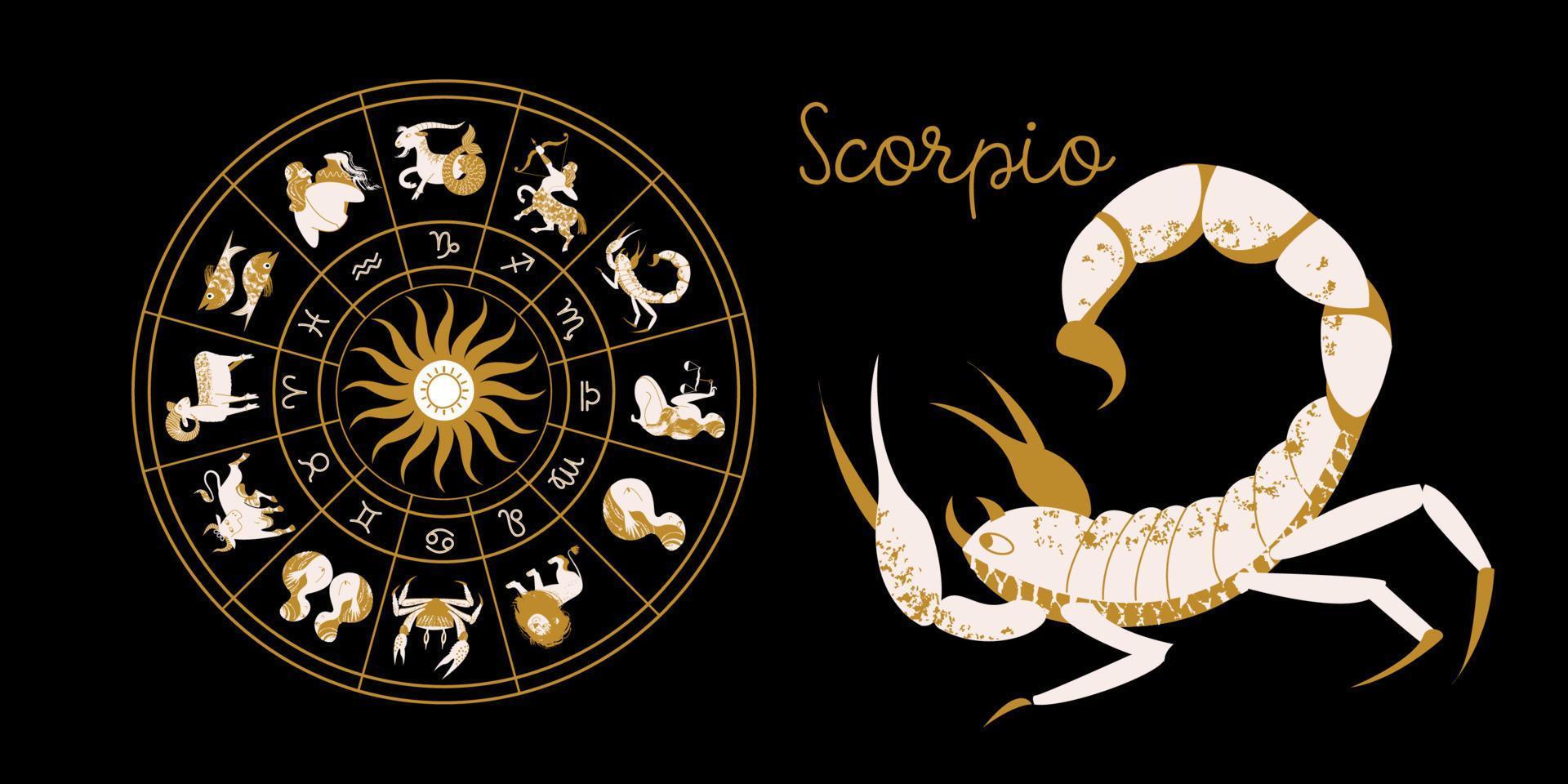 signe du zodiaque scorpion. horoscope et astrologie. horoscope complet dans le cercle. zodiaque roue horoscope avec vecteur de douze signes.