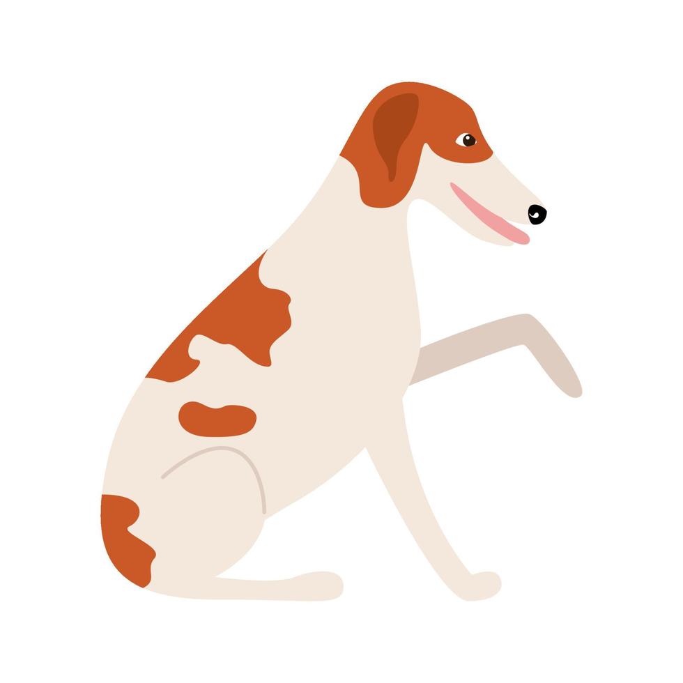 race de chien barzoï. chien de dessin animé isolé sur fond blanc. illustration vectorielle d'un plat pour animaux de compagnie vecteur