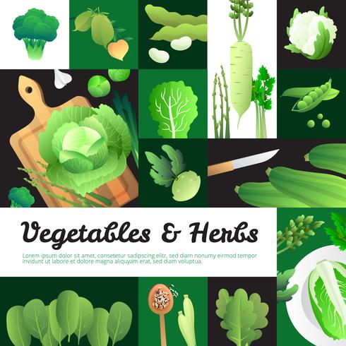 Affiche de composition de bannières de légumes verts biologiques vecteur