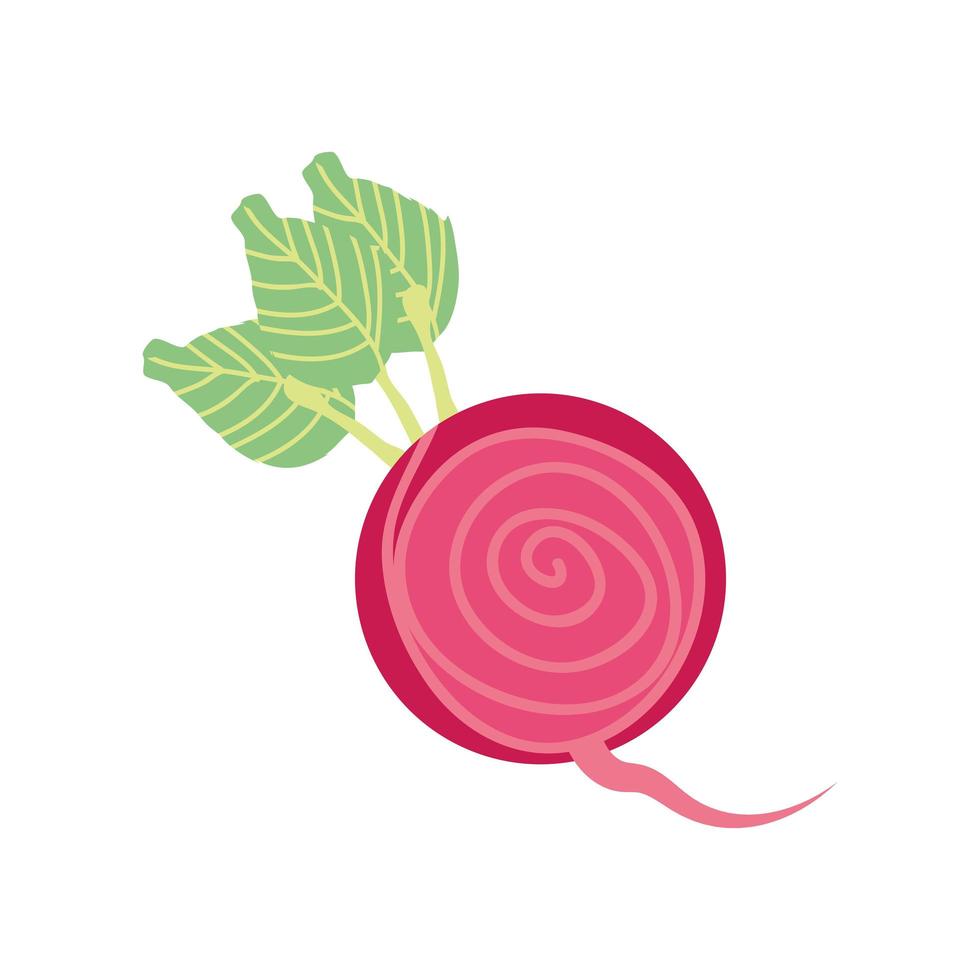 icône de radis frais vecteur