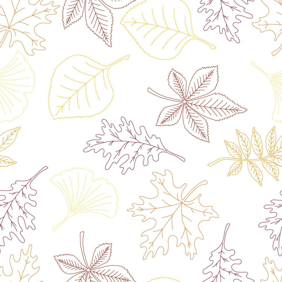 feuilles d'automne colorées modèle sans couture de vecteur. texture du feuillage, érable, tilleul, sorbier des oiseleurs, chêne, châtaignier, ginkgo. vecteur