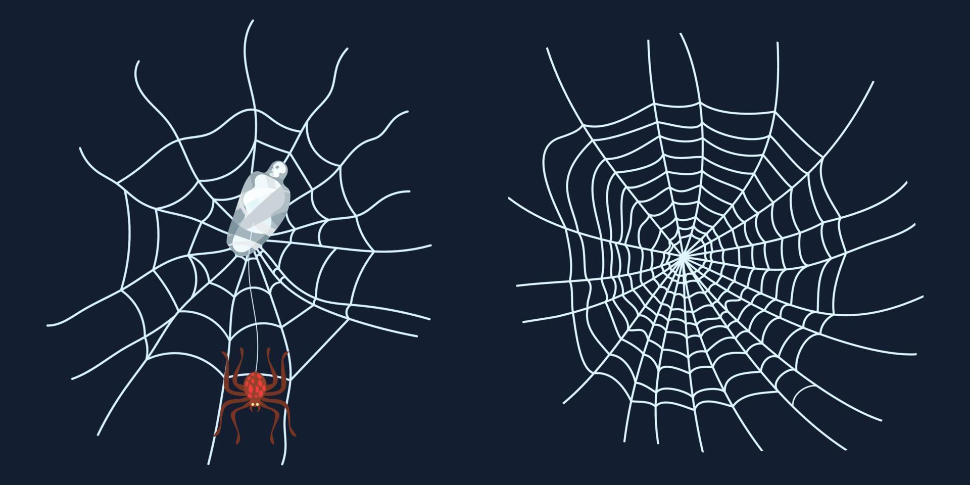 toile d'araignée araignée et proie rampe insectes vecteur