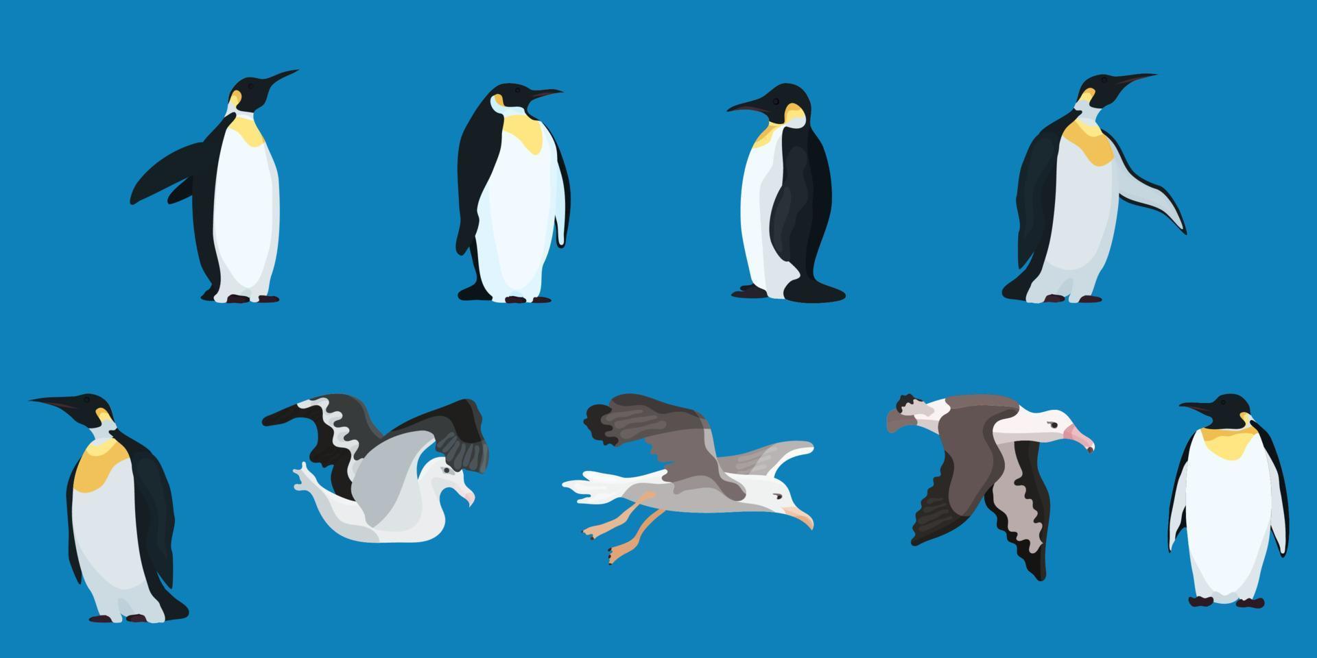 style plat de compilation d'albatros et de pingouins vecteur