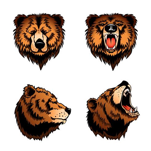 Têtes d&#39;ours isolées colorées vecteur