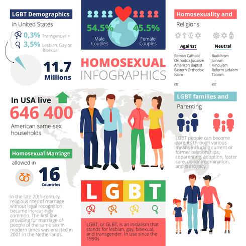 Modèle d&#39;infographie homosexuel vecteur
