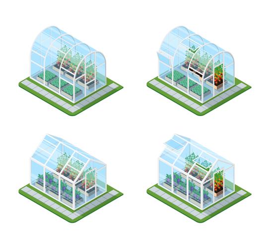 Ensemble isométrique à effet de serre en verre vecteur