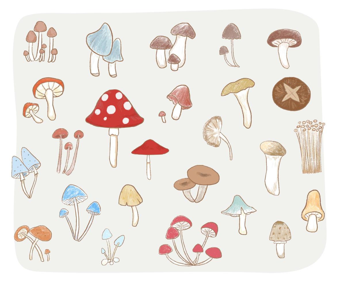 ensemble de mignons champignons isolés dessinés à la main différents vecteur