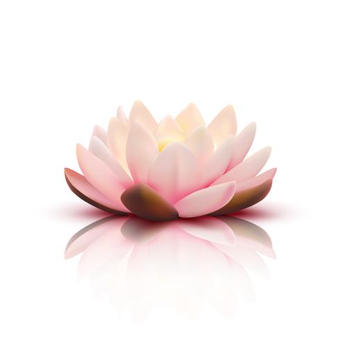 Fleur 3D de lotus vecteur