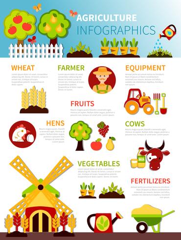 Affiche d&#39;infographie de ferme agricole vecteur