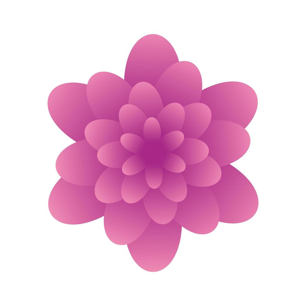 icône isolée de couleur pourpre de fleur mignonne vecteur