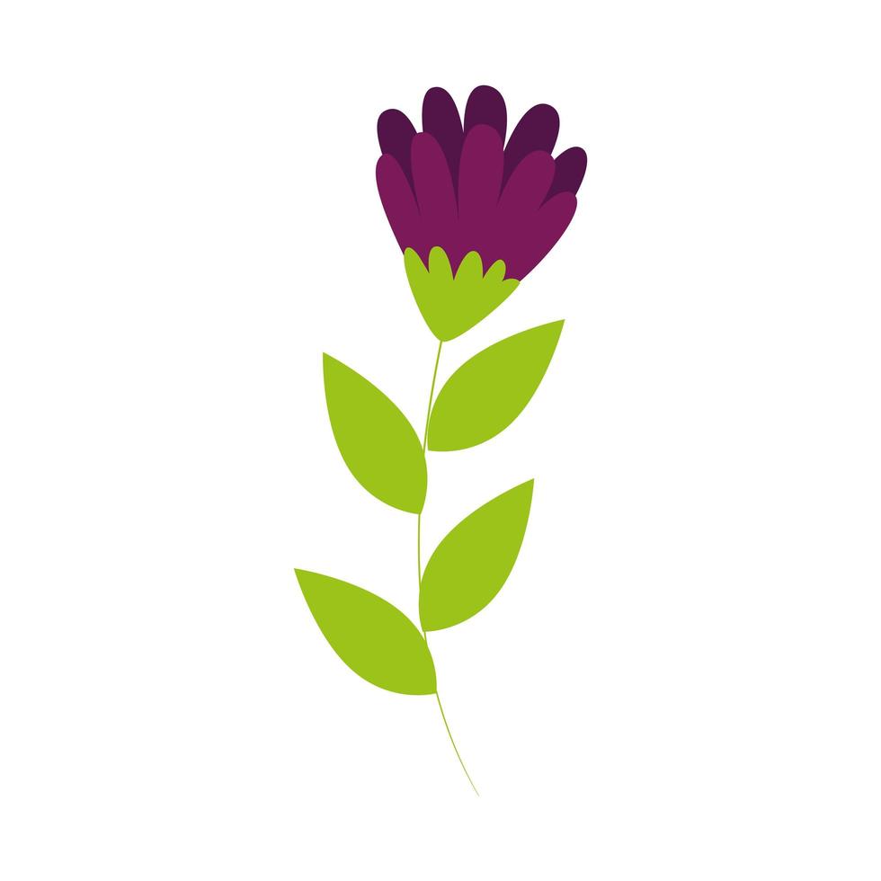 Jolie fleur violette avec icône isolée de branche et de feuilles vecteur