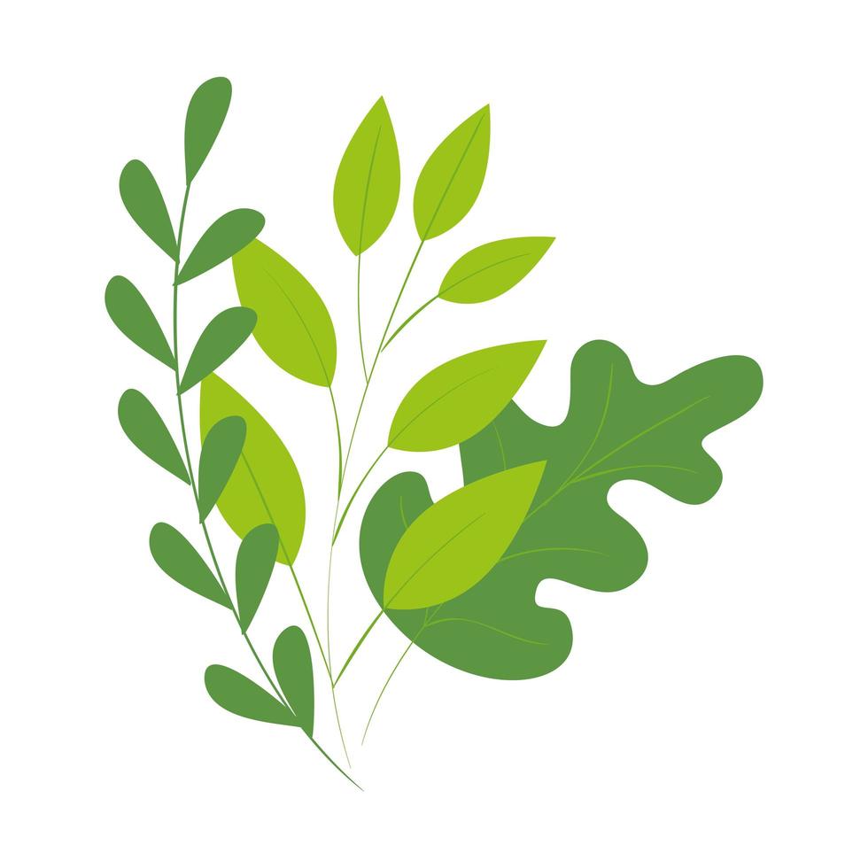 branches avec des feuilles icône isolé naturel vecteur