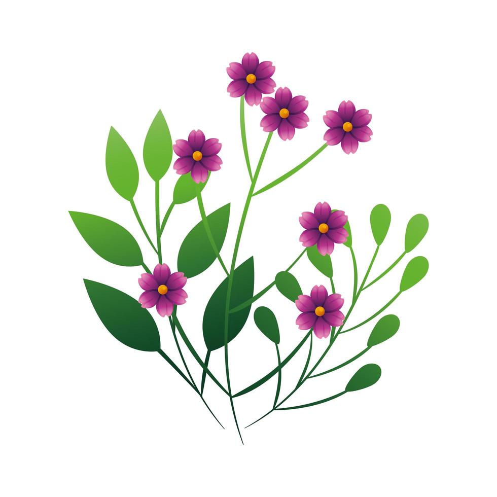 jolies fleurs violettes avec des branches et des feuilles vecteur