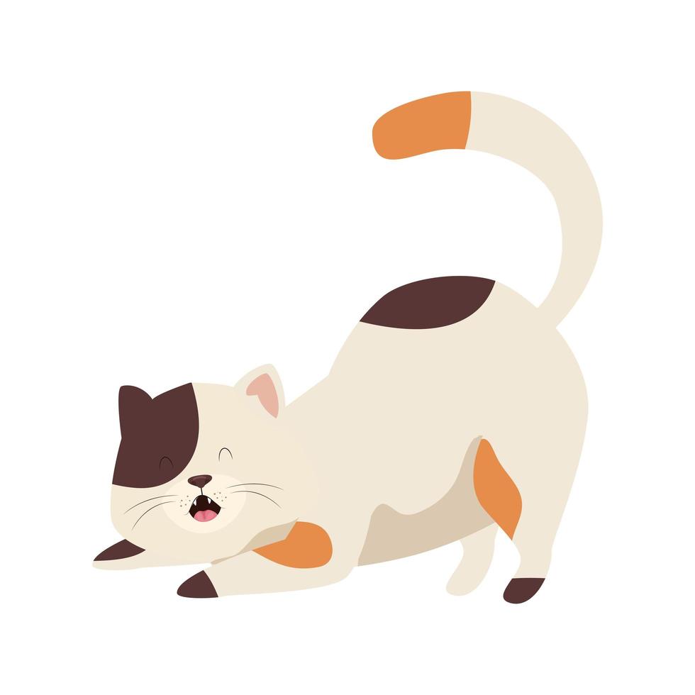 icône d'animal mignon petit chat vecteur