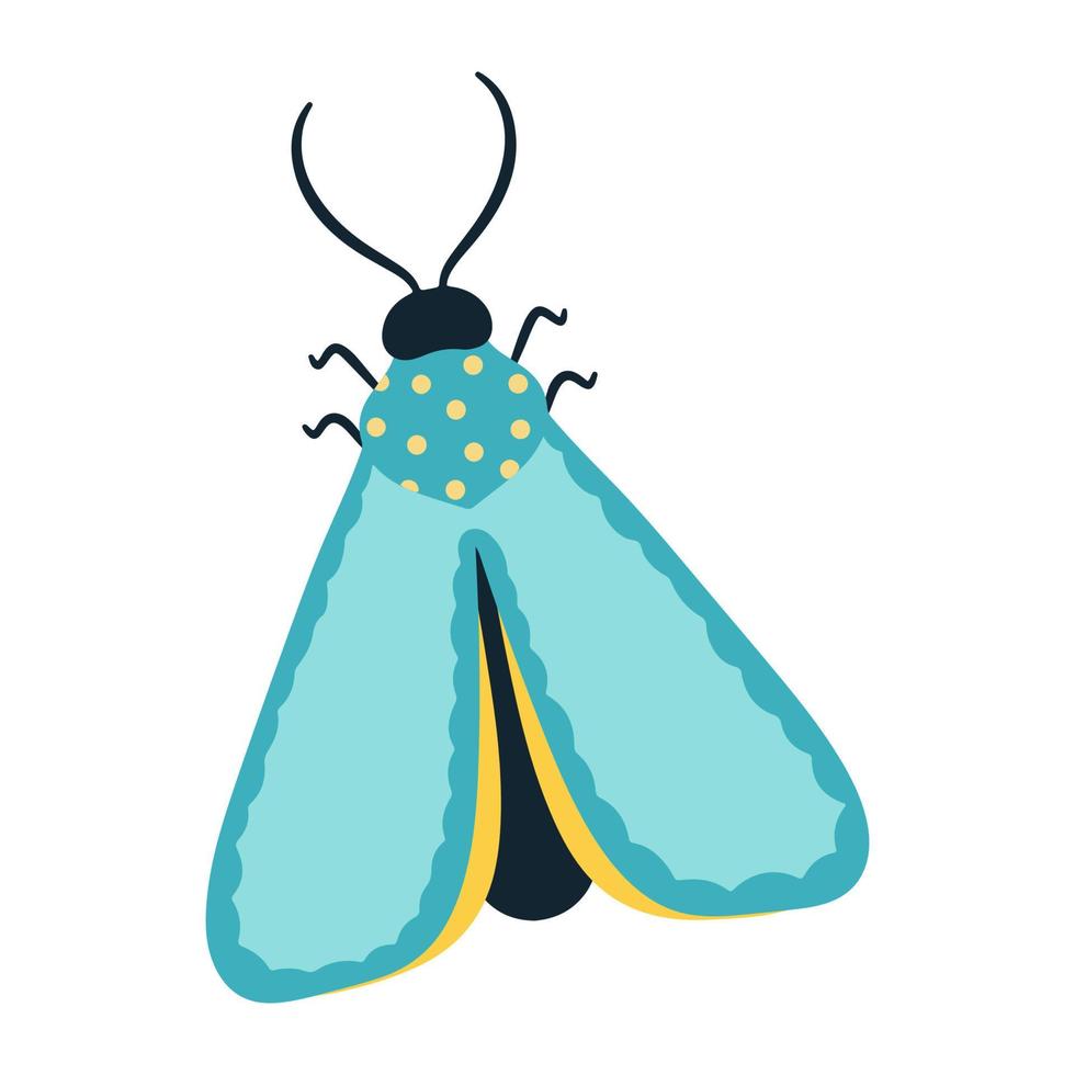 papillon tropical avec des ailes et des antennes multicolores isolés sur fond blanc. vue de dessus de papillon volant. un insecte printanier exotique. illustration vectorielle style plat vecteur