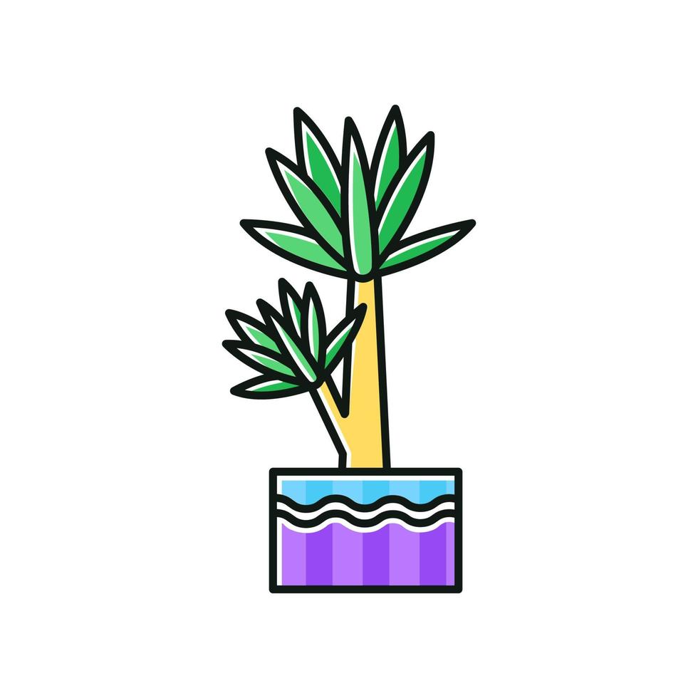 icône de couleur yucca rvb. petit palmier d'intérieur exotique. arbre mexicain. plante d'intérieur décorative aux feuilles pointues. maison naturelle, décor de bureau. illustration vectorielle isolée vecteur