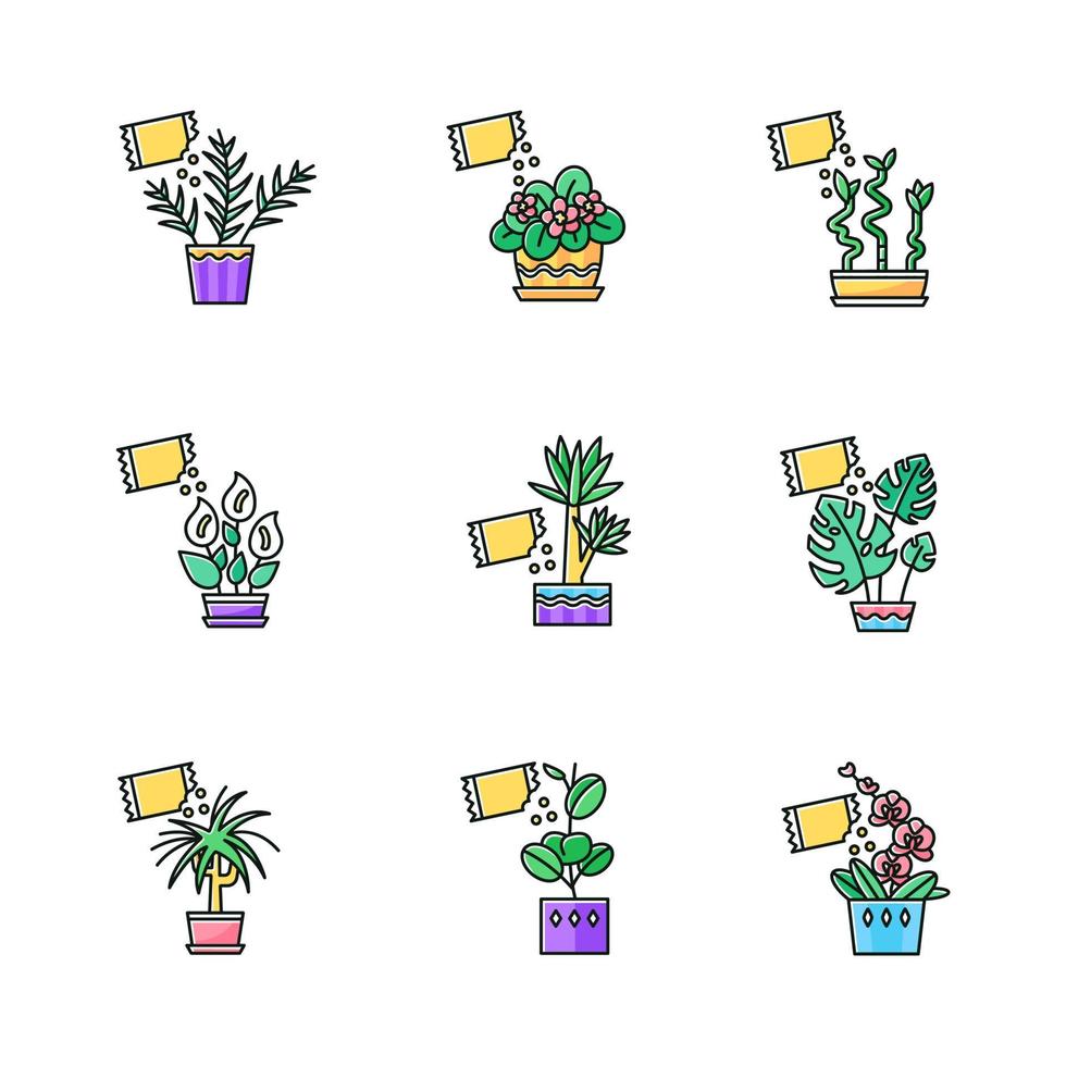 Ensemble d'icônes de couleur rvb fertilisant les plantes d'intérieur. nourrir les plantes domestiquées. processus de croissance des plantes décoratives. jardinage d'intérieur. suppléments de croissance. illustrations vectorielles isolées vecteur