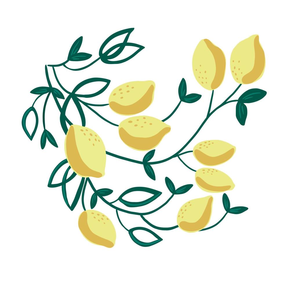 illustration de la branche de citron décorative. idéal pour les affiches pour la maison, la décoration textile, l'impression papier et le design. isolé sur fond blanc. vecteur