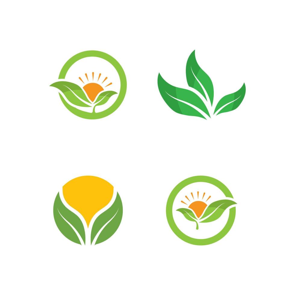 logos de l'écologie des feuilles d'arbre vert vecteur