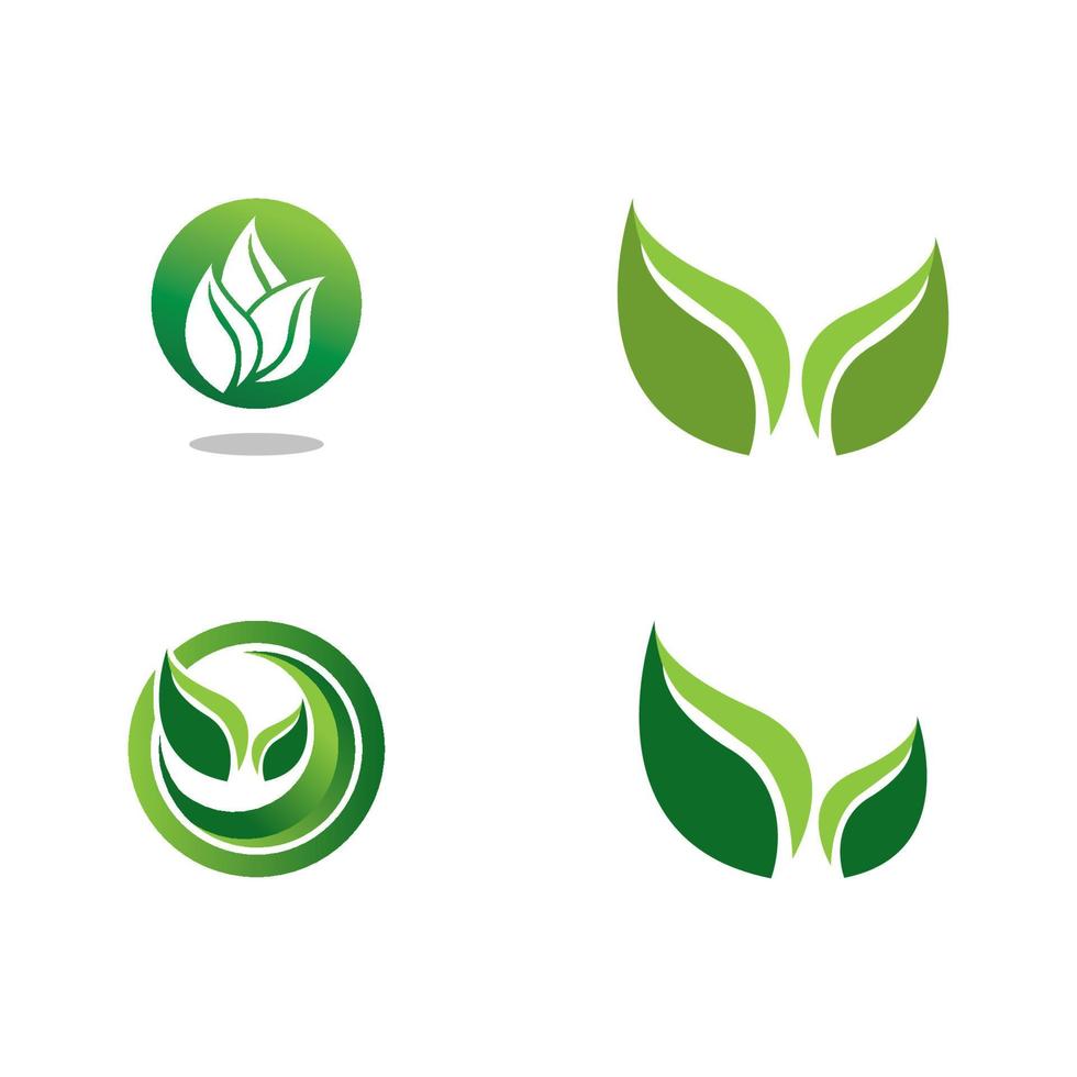 logos de l'écologie des feuilles d'arbre vert vecteur