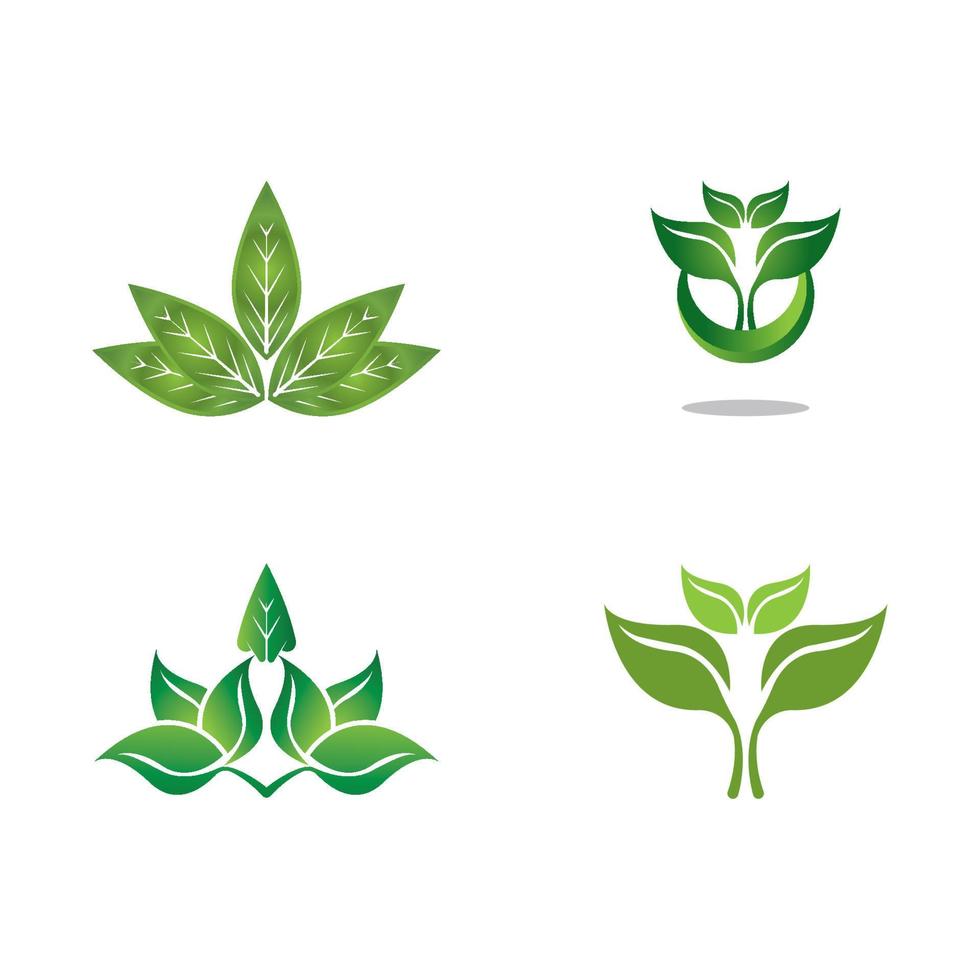 logos de l'écologie des feuilles d'arbre vert vecteur