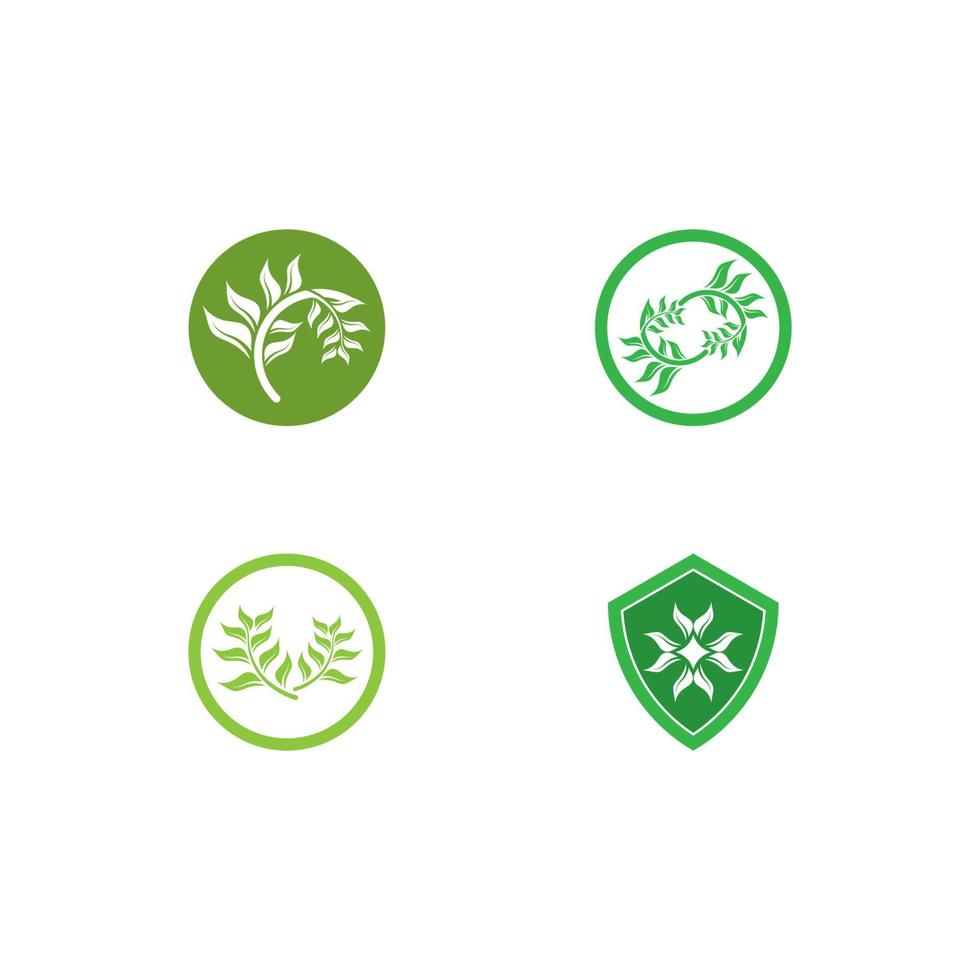 logos de l'écologie des feuilles d'arbre vert vecteur