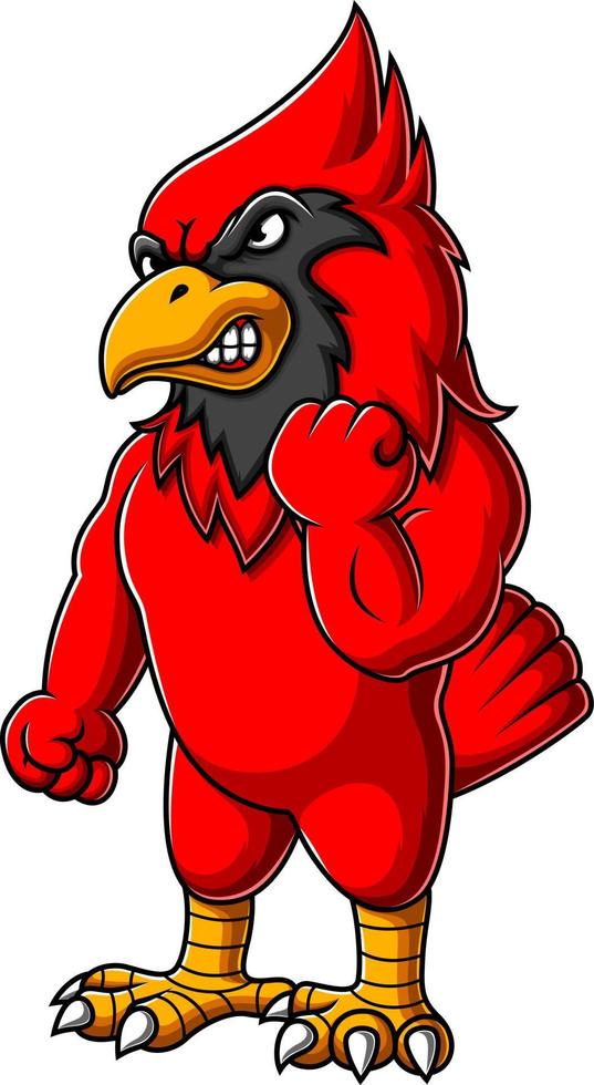 dessin animé oiseau cardinal en colère vecteur