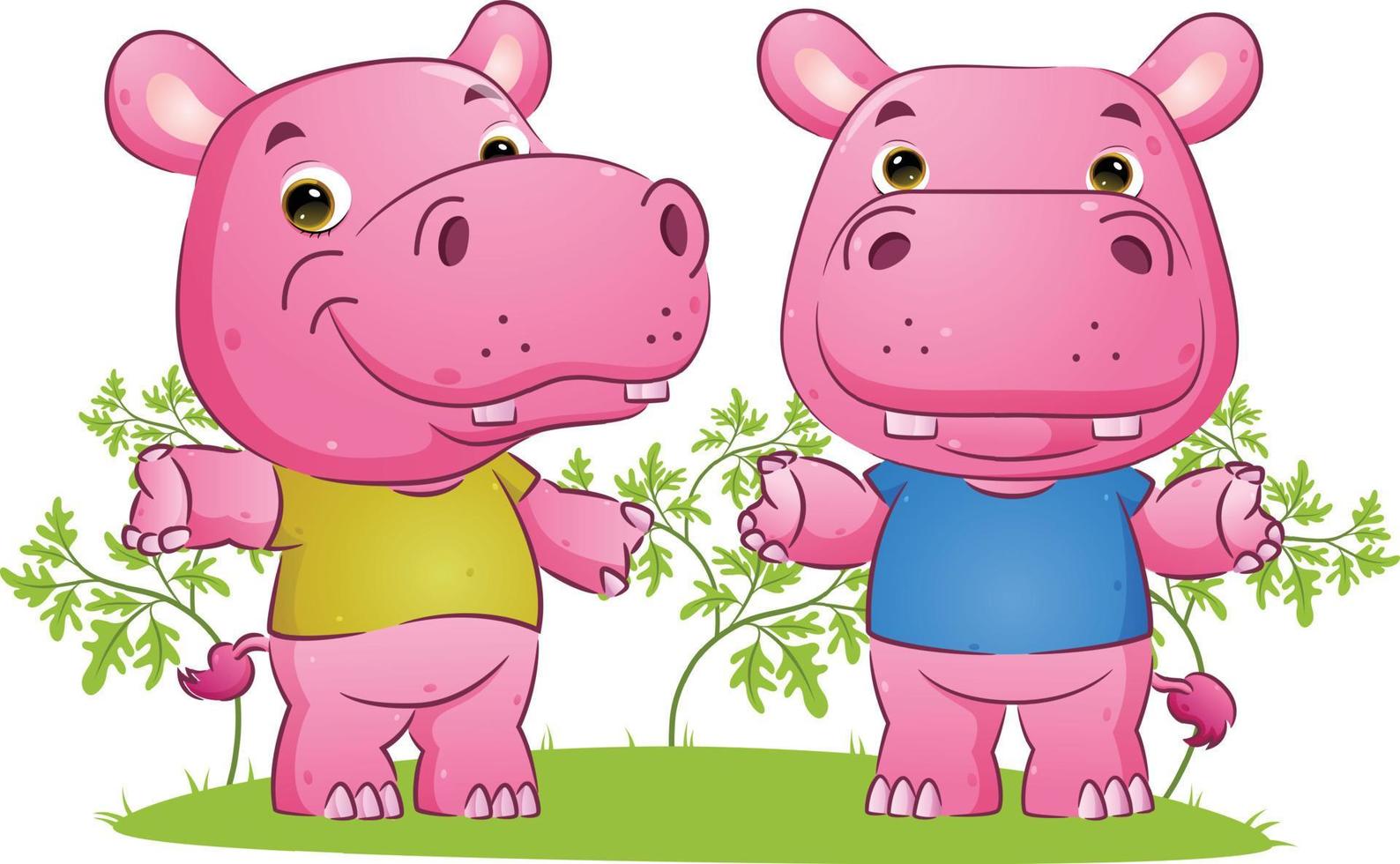 le couple du doux hippopotame danse avec les différentes poses dans le jardin vecteur