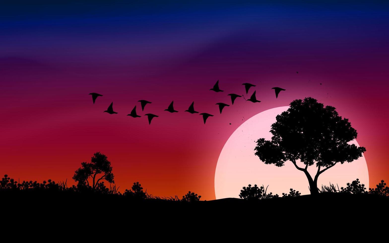 ciel rouge coucher de soleil ou lever de soleil fond nature avec arbres et oiseaux volants vecteur