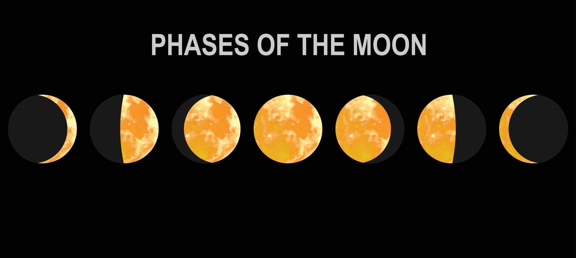 mouvements de l'illustration vectorielle réaliste des phases de la lune vecteur