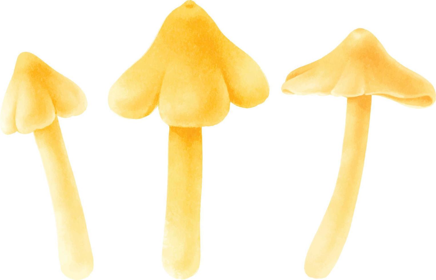 collection de style aquarelle illustration champignon vecteur